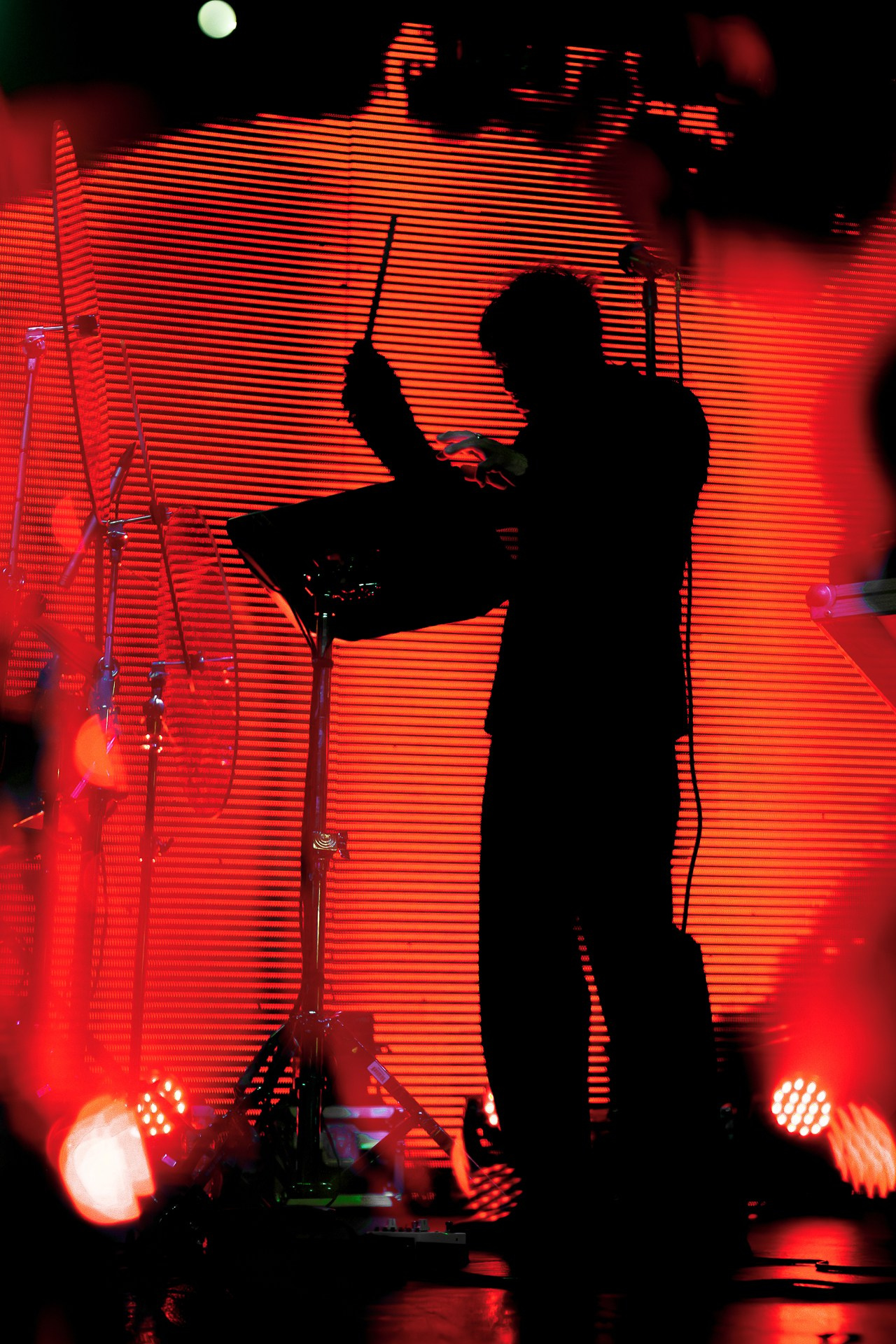 Андрей Лысиков. Дельфин, 05.06.25, VK Gipsy