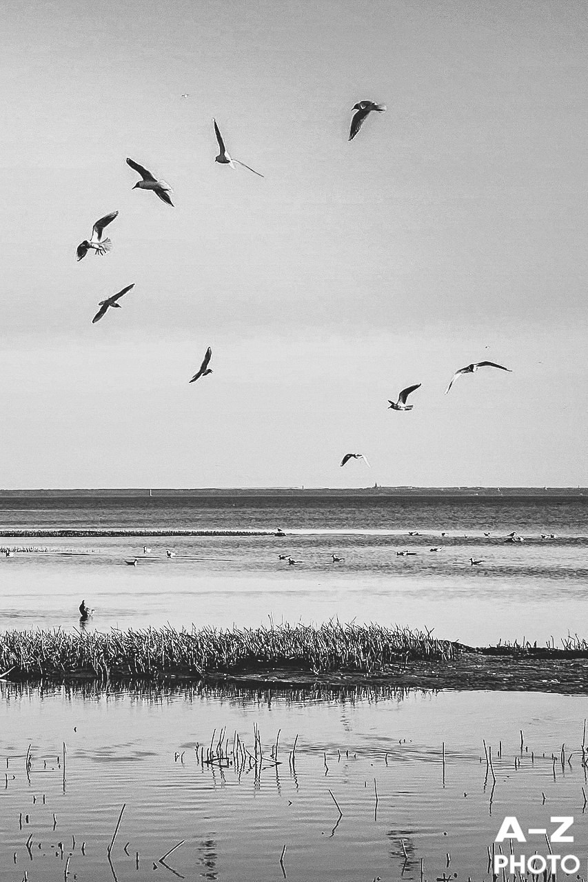 #ФОТОНЕДЕЛИ 20.04.2026. Женский семейный фотограф Тула Москва Захарова Анна