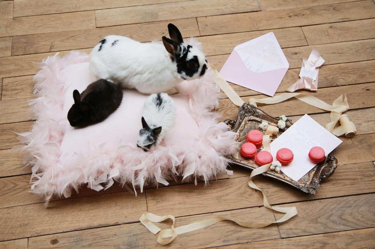 Лиза и Андрей. Фотограф на Венчание и Крещение, семейный фотограф в Москве и области