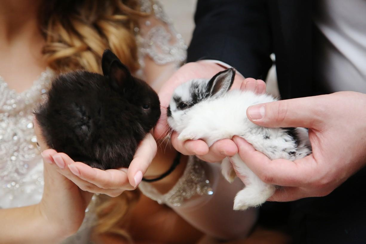 Лиза и Андрей. Фотограф на Венчание и Крещение, семейный фотограф в Москве и области