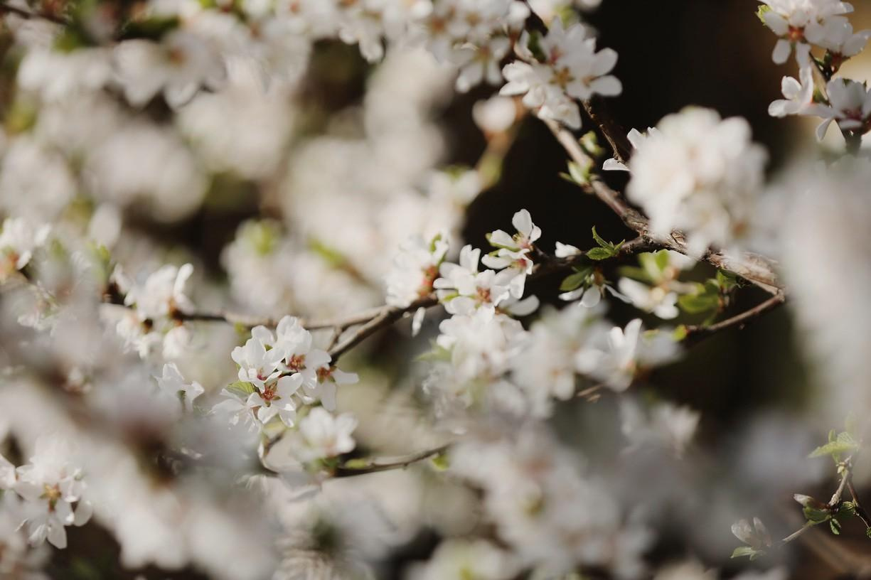 Ксюша и Гриша. Фотограф на Венчание и Крещение, семейный фотограф в Москве и области