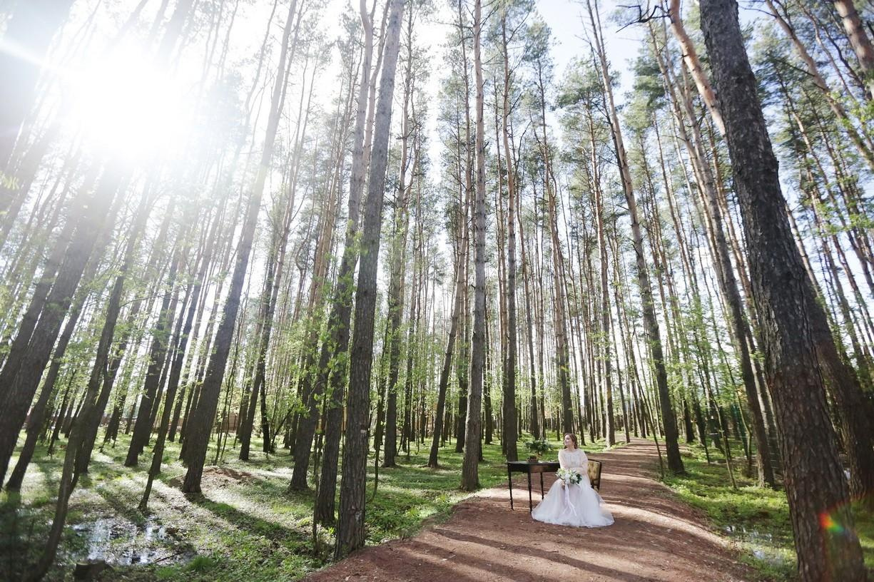 Максим и Елена. Фотограф на Венчание и Крещение, семейный фотограф в Москве и области