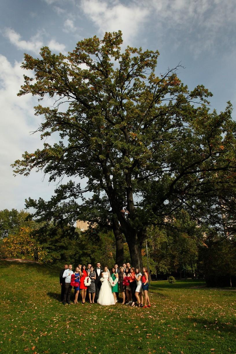 Денис и Галина. Фотограф на Венчание и Крещение, семейный фотограф в Москве и области