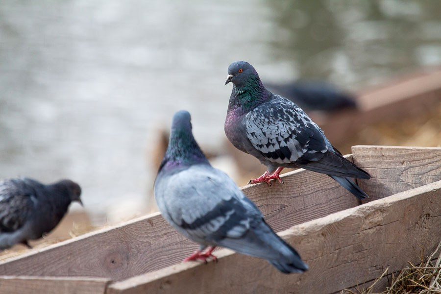 Street art. Фотостудия Алматы. Фотосъемка Алматы. Фотосессия Алматы. Фотокурсы. Обучение фотографии. Аренда студии