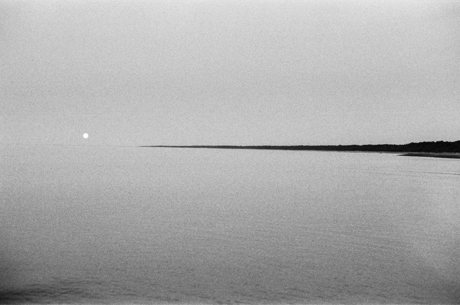 Summer Shore. Vitaly Severov