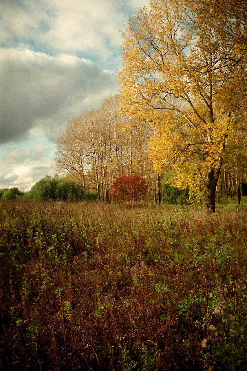 РАЗНОЕ. Андрей Пономарёв
