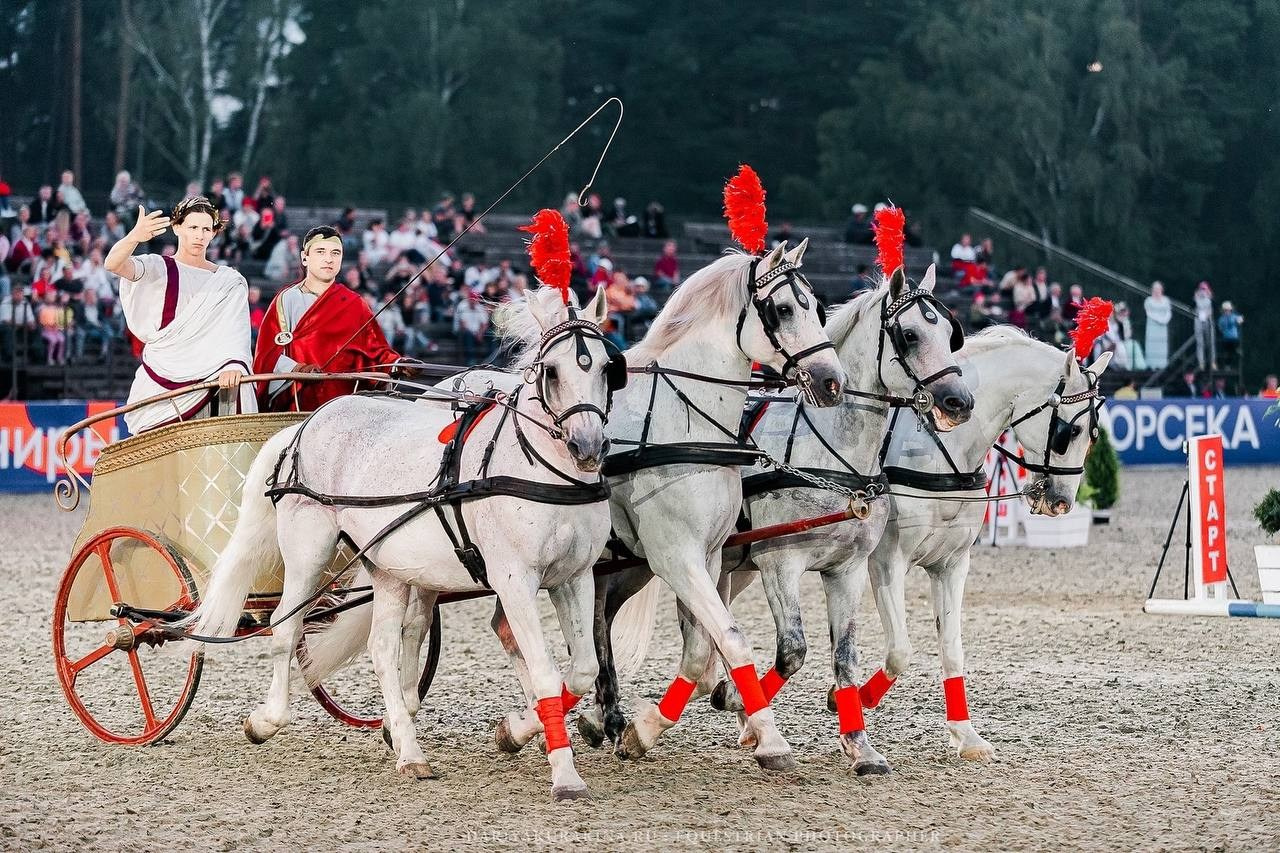 ИВАНОВО ПОЛЕ — 2024. Конный фотограф Куракина Дарья • Фотосессии с лошадьми