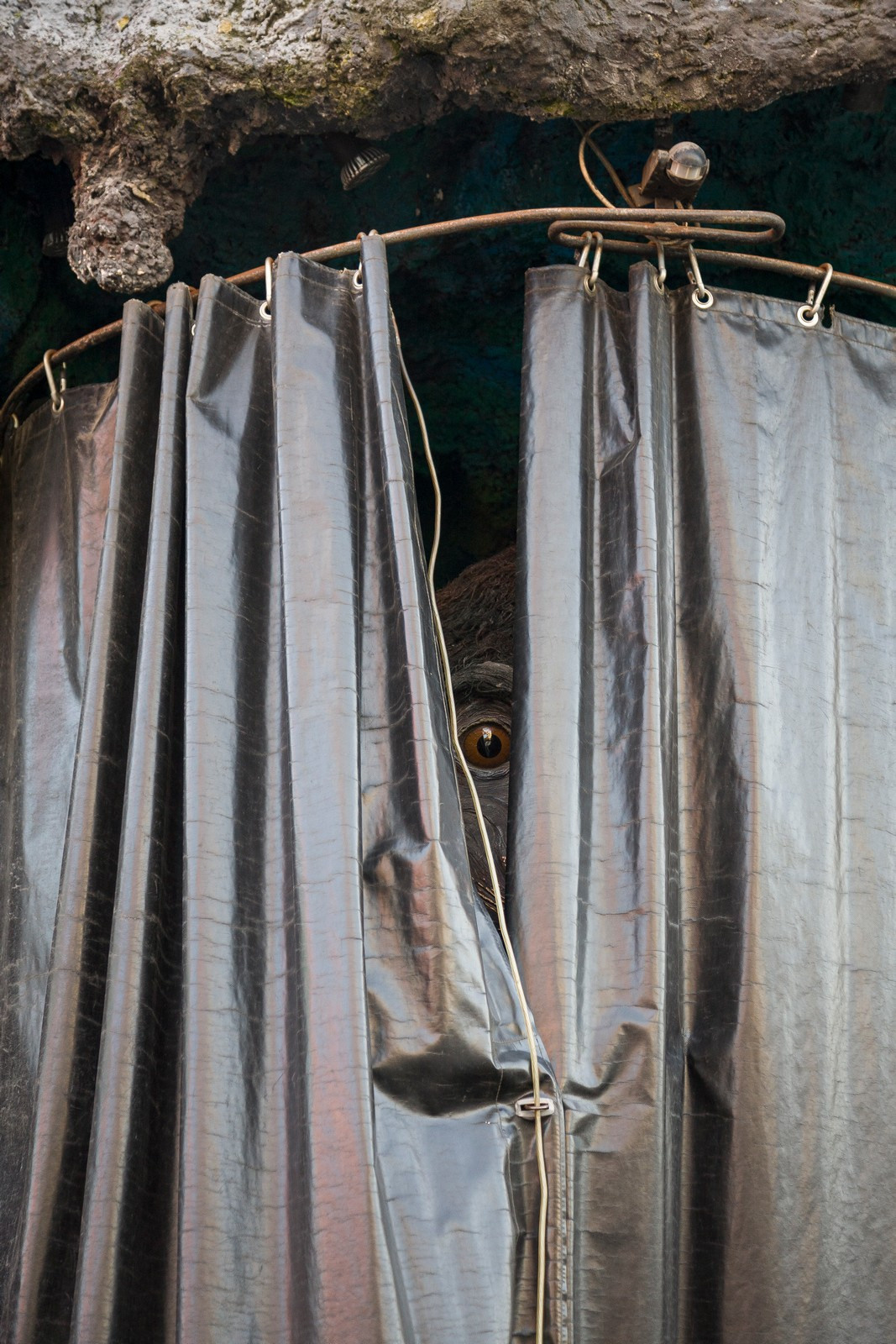 Prater. Artist Denis Tikhomirov