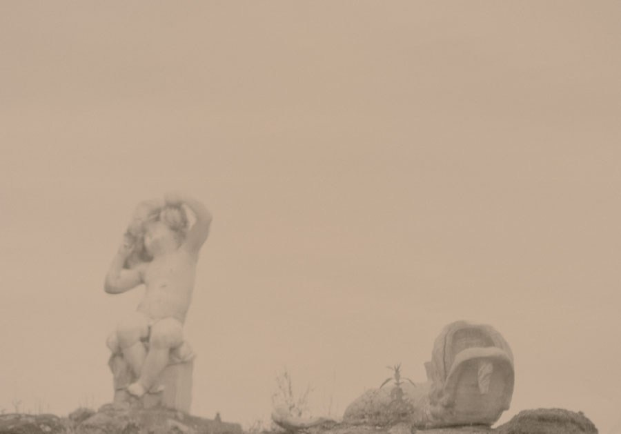 Those. Елена Цихон художник фотографии и мастер фото-ДНК