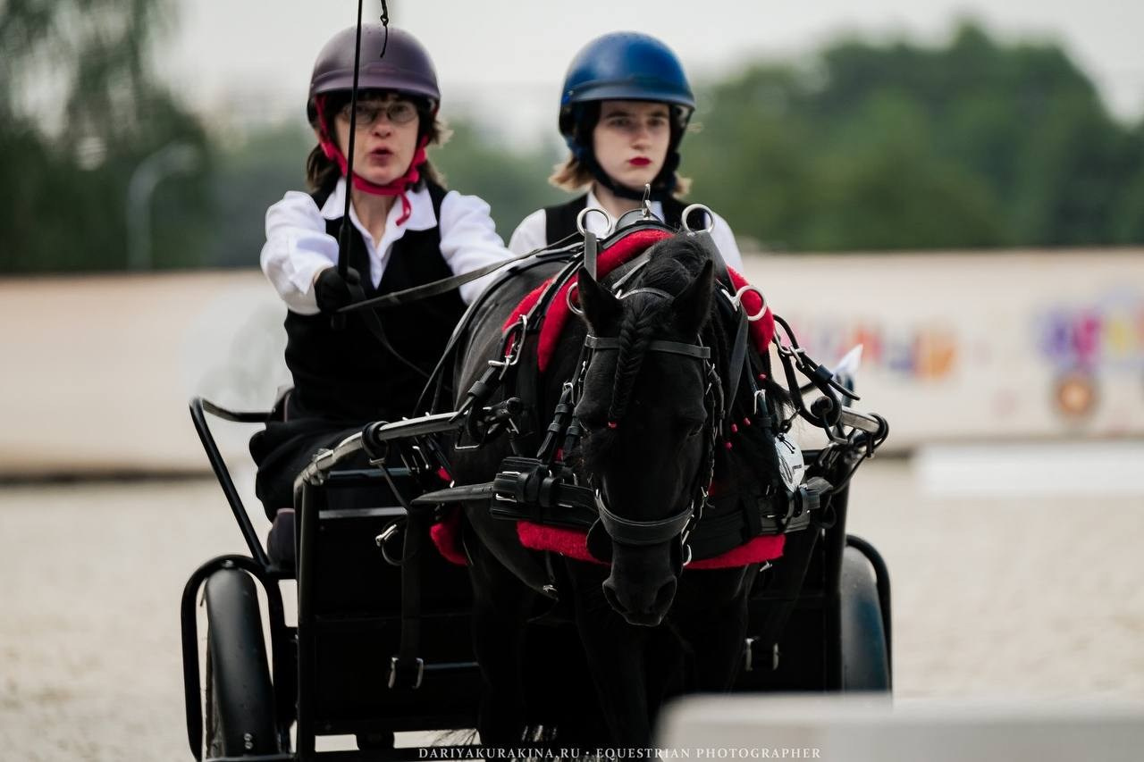 Чемпионат по ДРАЙВИНГУ. Куракина Дарья • Конный фотограф