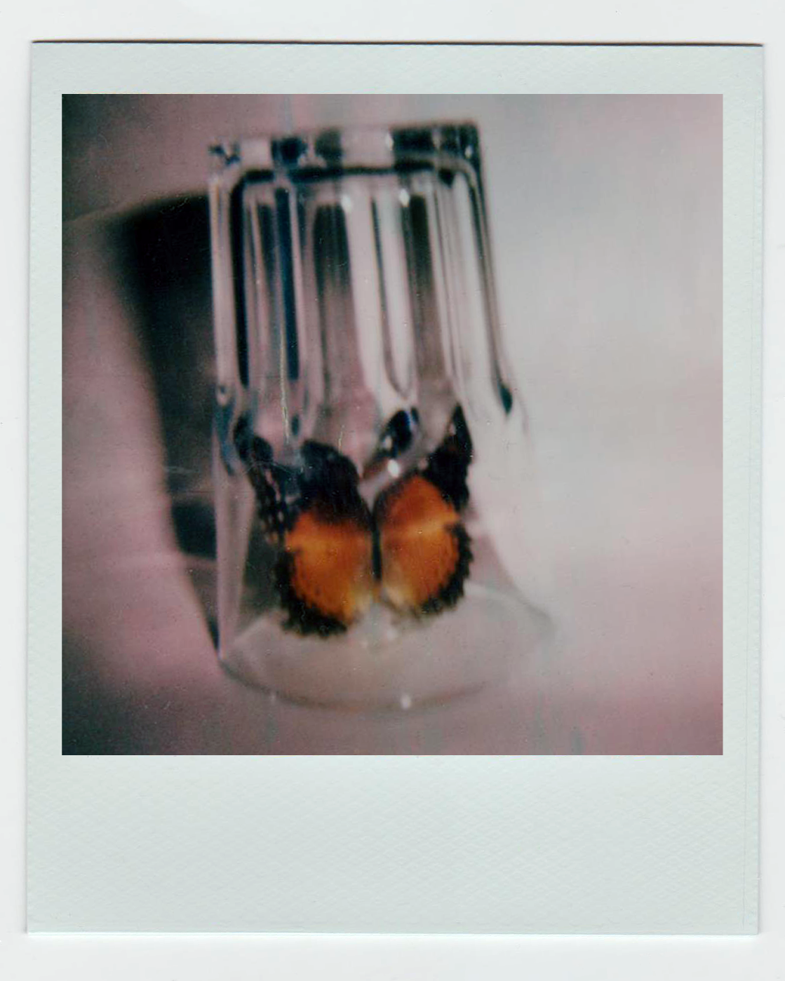 Transformation. WORKS