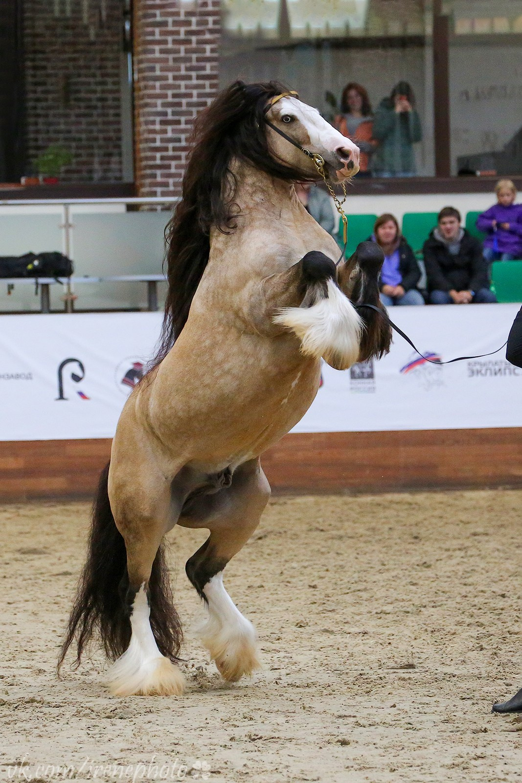 Конная Россия 2023. Irenephoto.ru