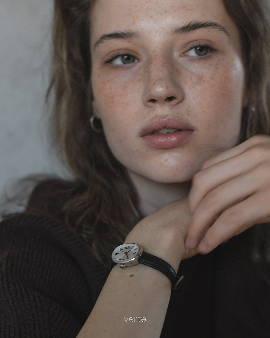 Ariana. Axis model management