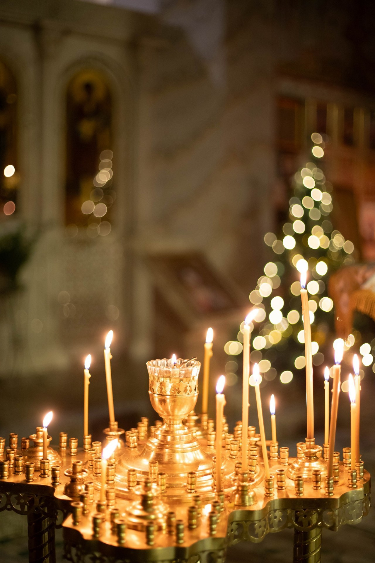 Отзывы. Семейный фотограф