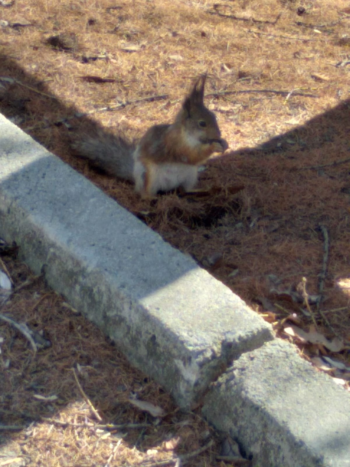 Екатеринбург | 08-09.04.23. Галерея Фантим