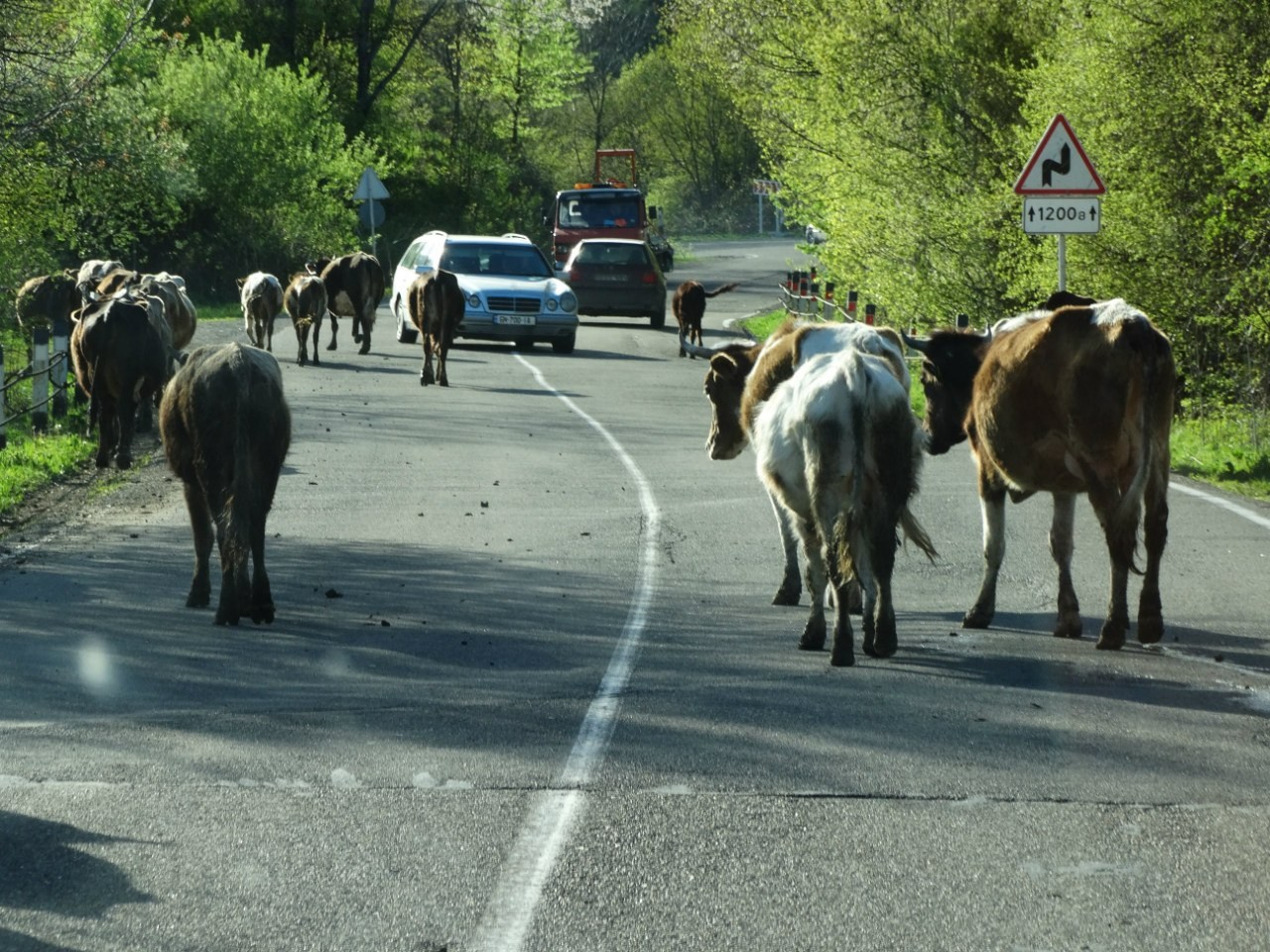 Путешествие в Азербайджан, Грузию и Армению | 01-09.05.2015. Галерея Фантим