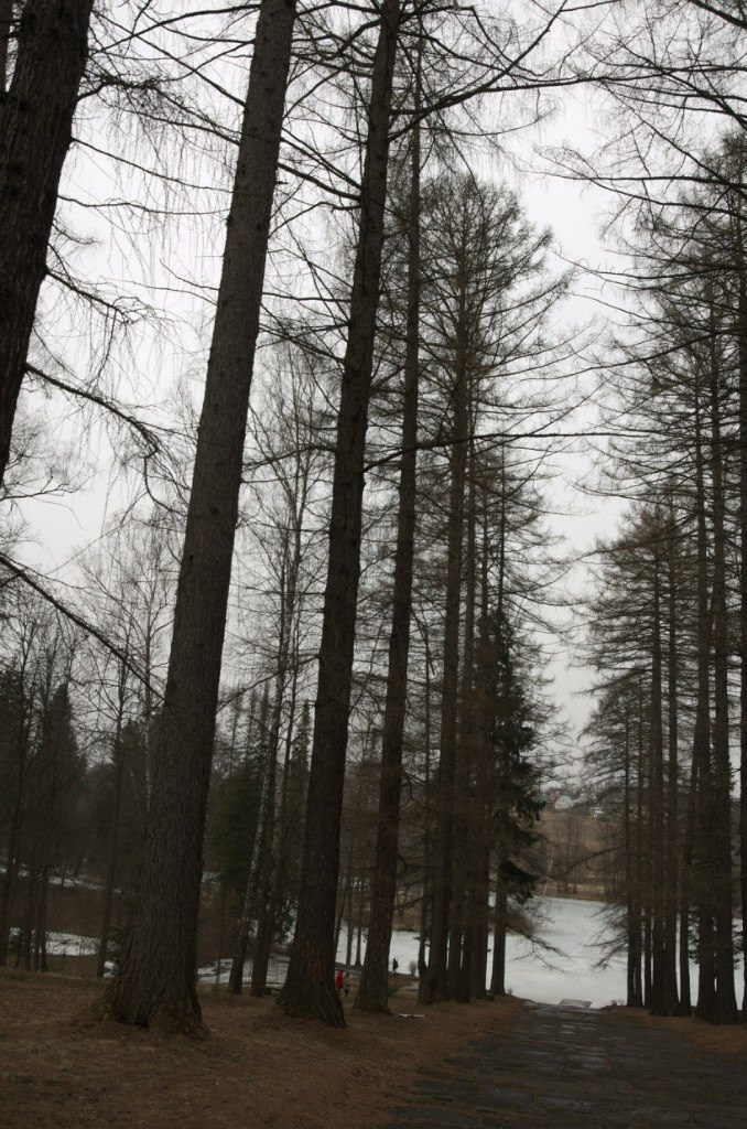 Середниково — Piligrim Porto — Братцево — Сходненская чаша | 09.04.2016. Галерея Фантим