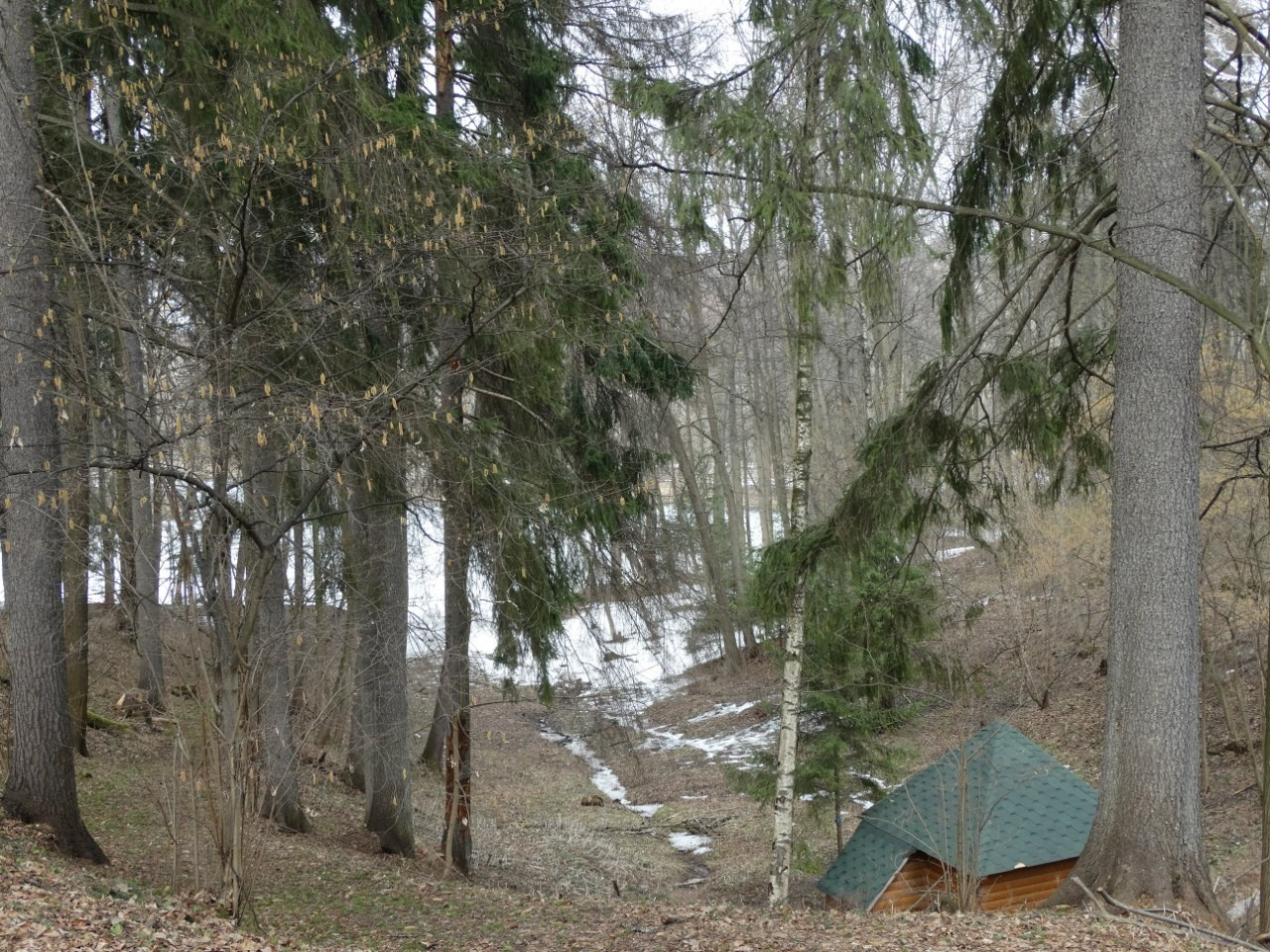 Середниково — Piligrim Porto — Братцево — Сходненская чаша | 09.04.2016. Галерея Фантим