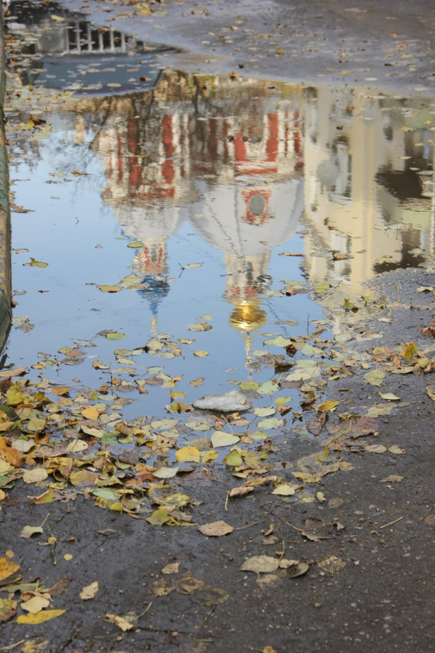 Автор: Екатерина Тимофеенко