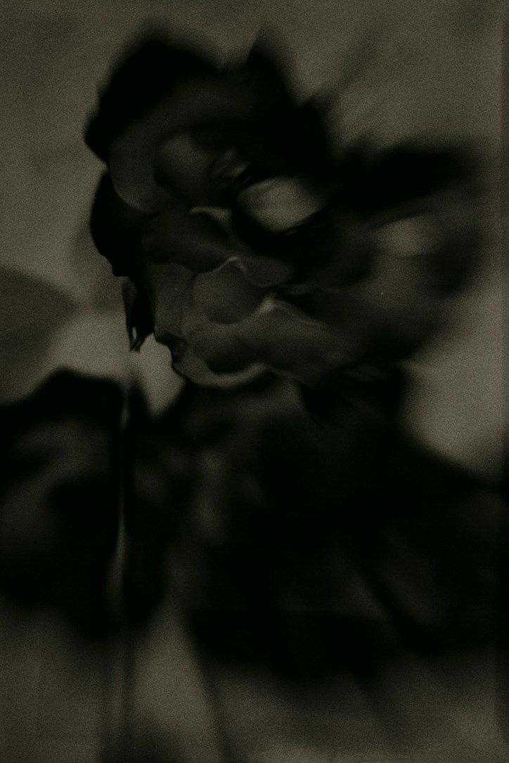 Flowers. Visual artist