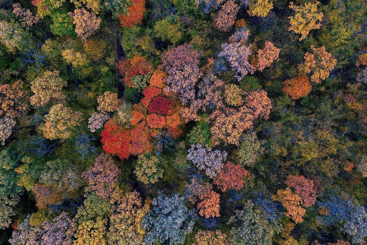 Textures — personal project of photographer Vadim Sherbakov. Vadim Sherbakov Portfolio