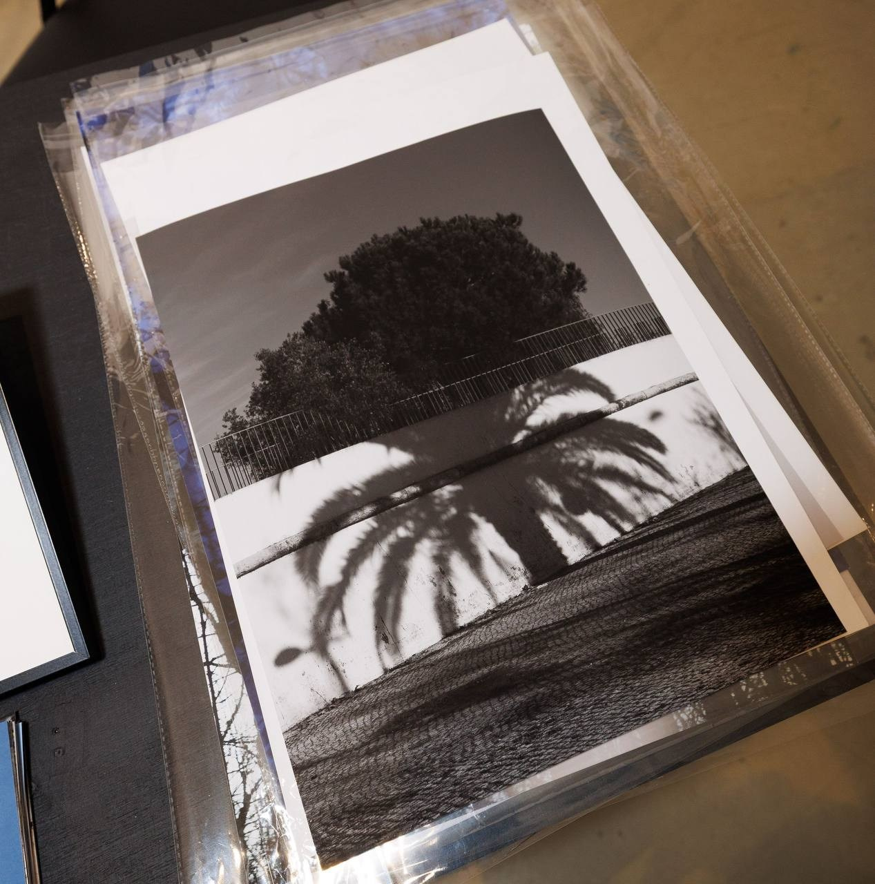 WIN-WIN art fair 2025. Фотограф алина стерхова, алина стерхова фотограф, фотограф москва