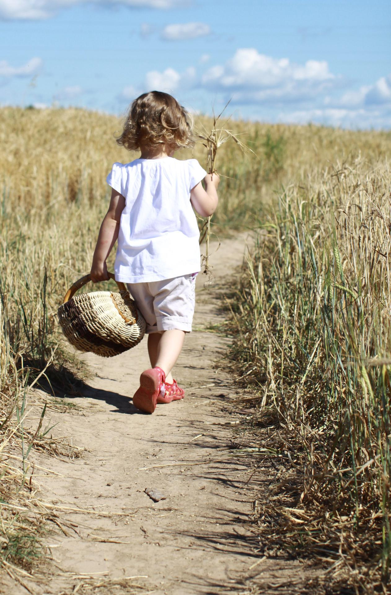 Девочка спиной к камере идет по грунтовой дороге в поле с корзинкой в руке.
