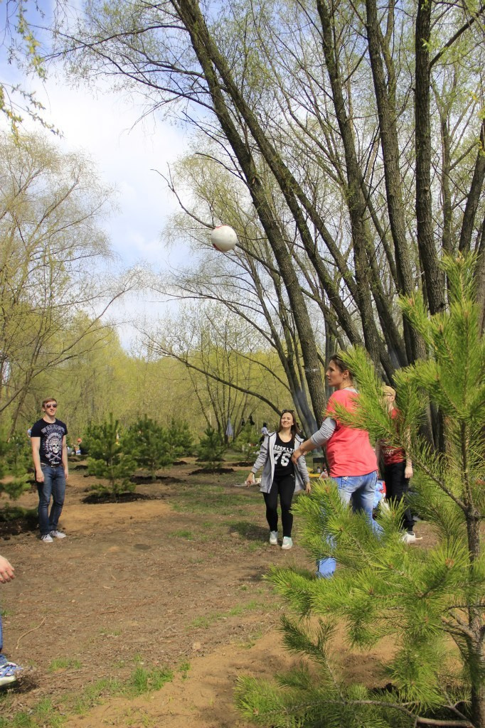 Шашлыки | 01.05.2016. Галерея Фантим