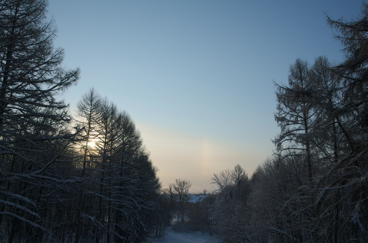 Быково и Гжель | 24.01.2016. Галерея Фантим