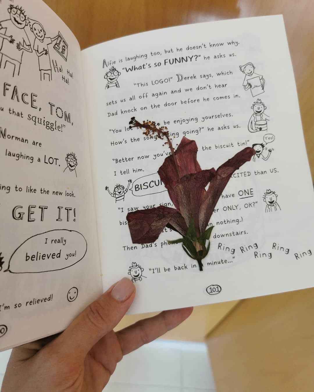 Anka`s Instagram. Заставка