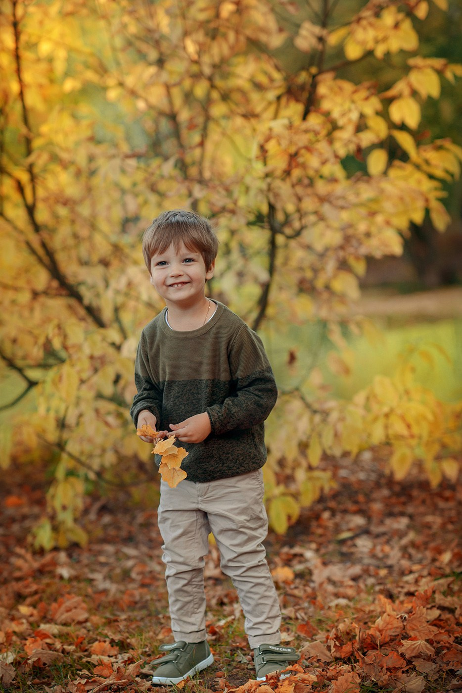 Family photo shoot , walk in the autumn park, family and golden fall (Photographer in Edinburgh Elena Carruthers)