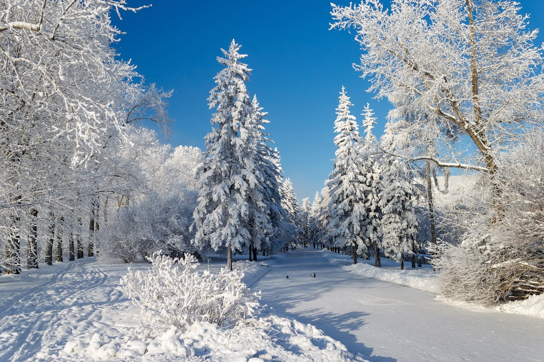 Иркутск. Илья Буянов, гид по Байкалу, фотограф — baikalsky.com