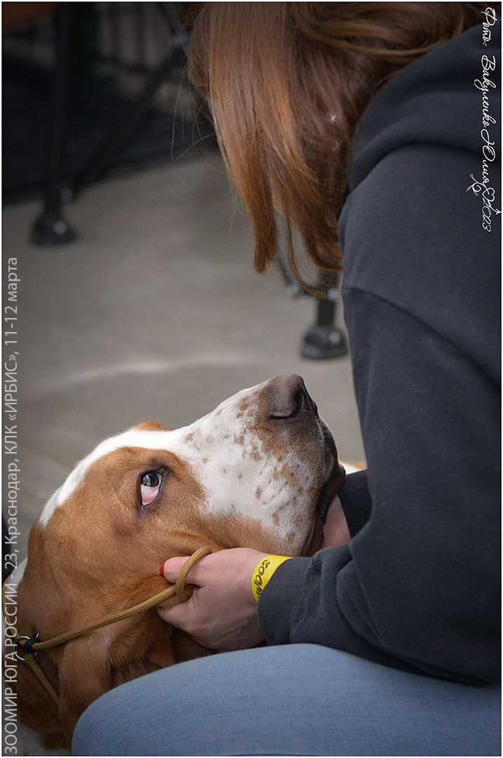 Репортаж. Фотограф анималист | семейный Юлия Вакуленко, г. Краснодар