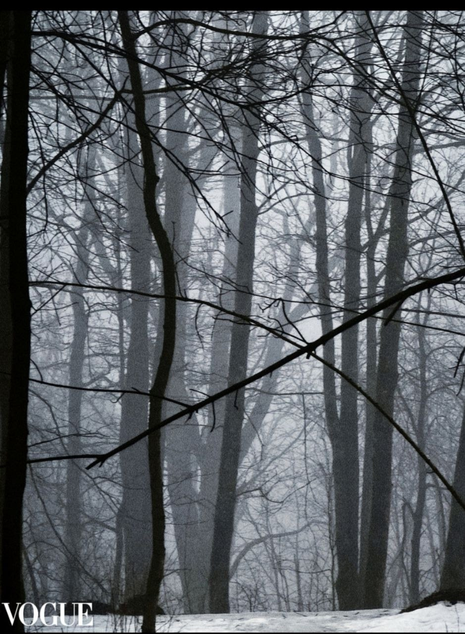 Публикации. Фотограф в Санкт-Петербурге, Григорьева Светлана: от портрета до предметной съёмки