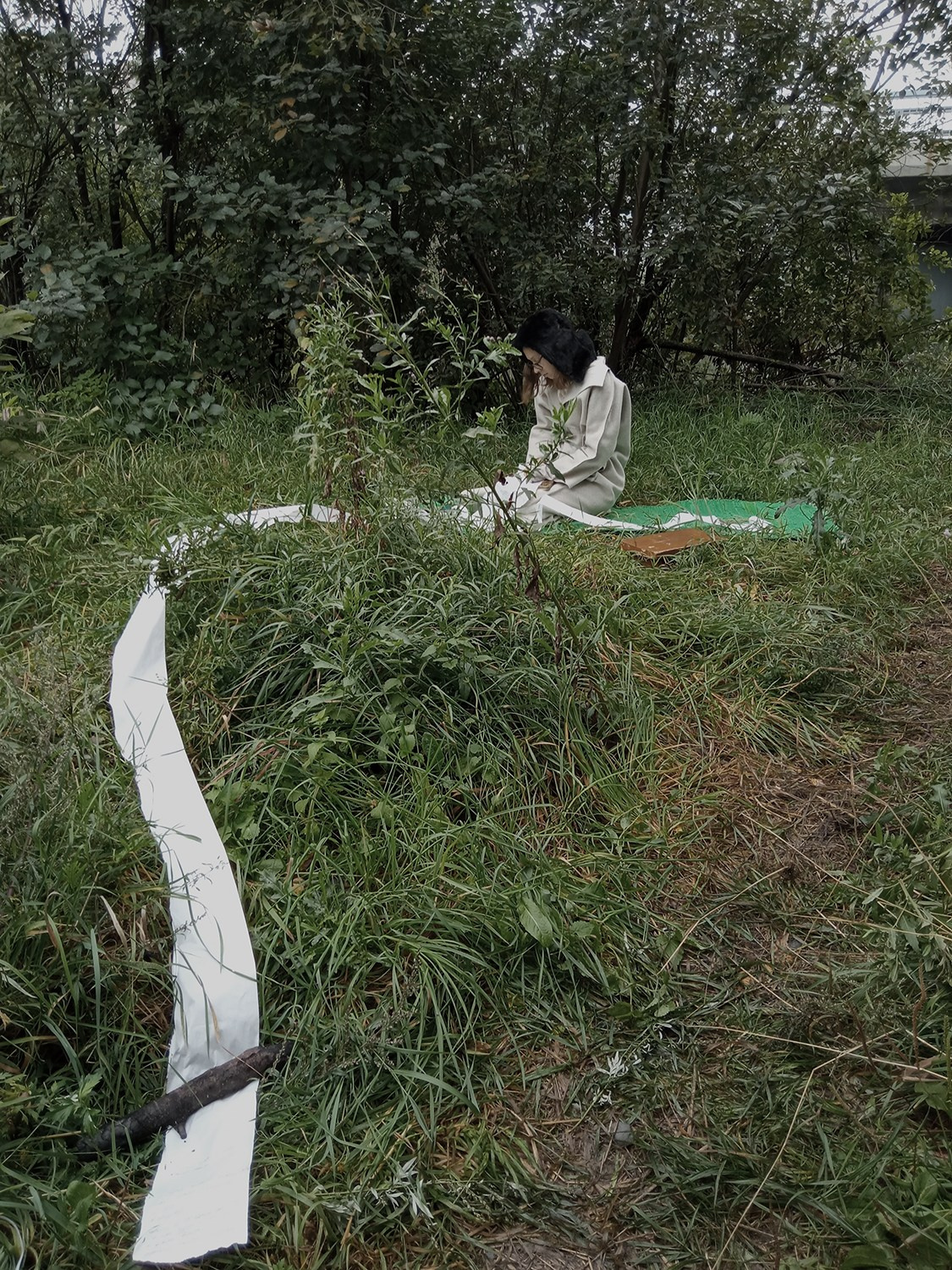 Красненькая биеннале 2025. Private image