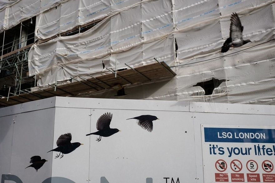 уличная фотография с неожиданными визуальными совпадениями и ритмами