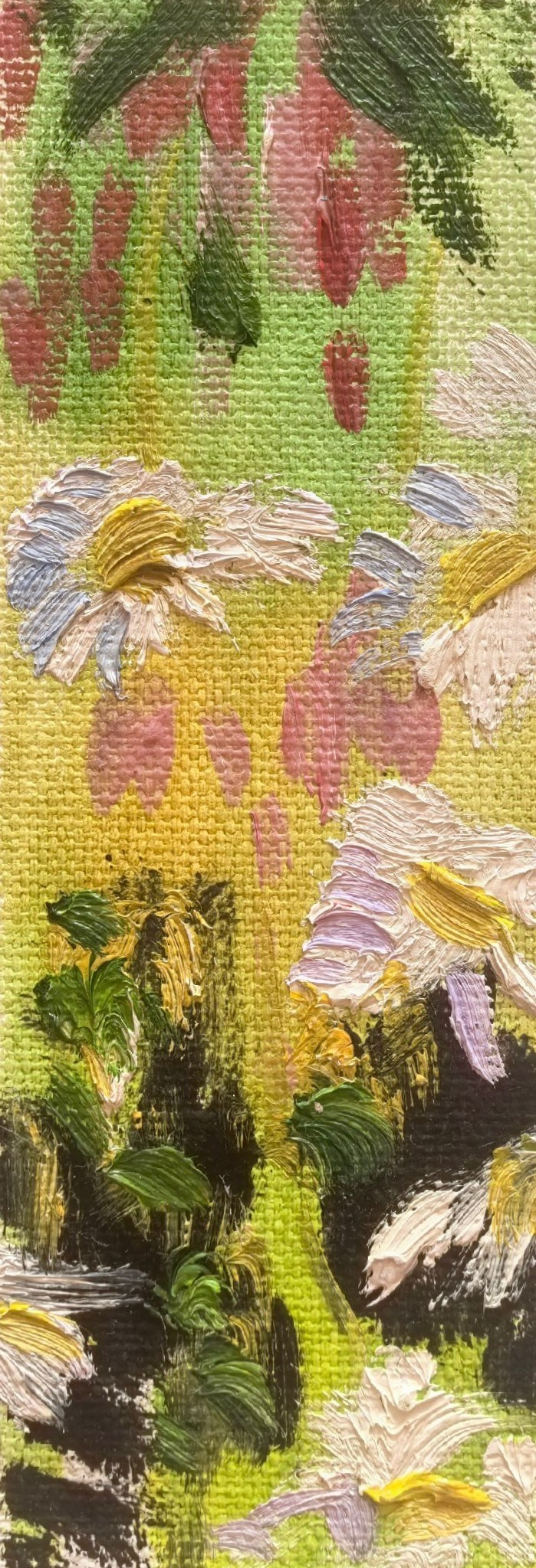 Этюды Камчатка. Художник и гид по Камчатке Евгений Чайкин