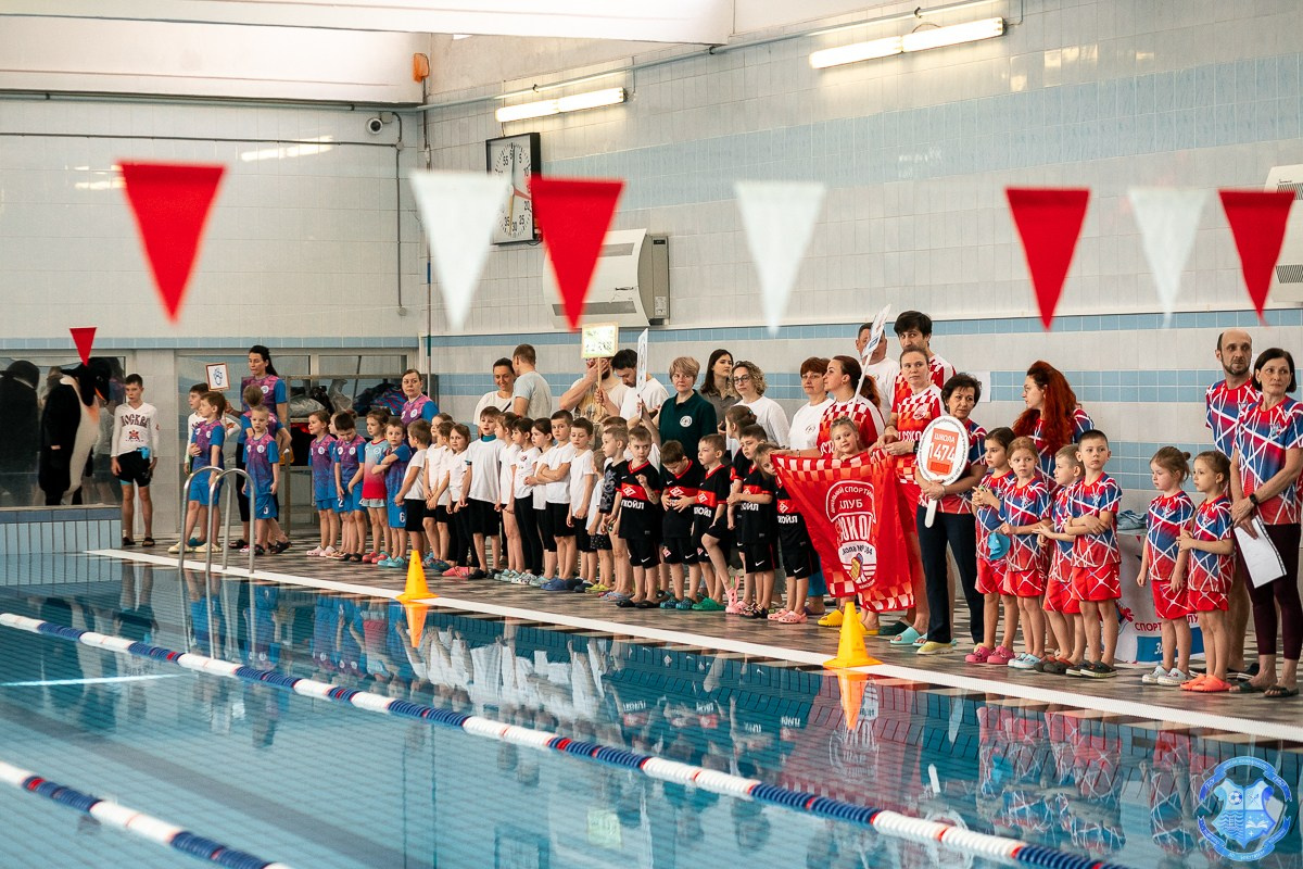 Соревнования по плаванию «Дельфинёнок». Фотограф Москва