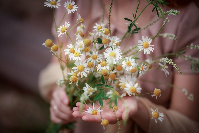 Ира. Семейный фотограф в Москве Вера Гук