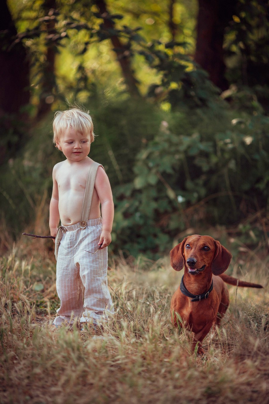 Коля и такса. Семейный фотограф в Москве Вера Гук