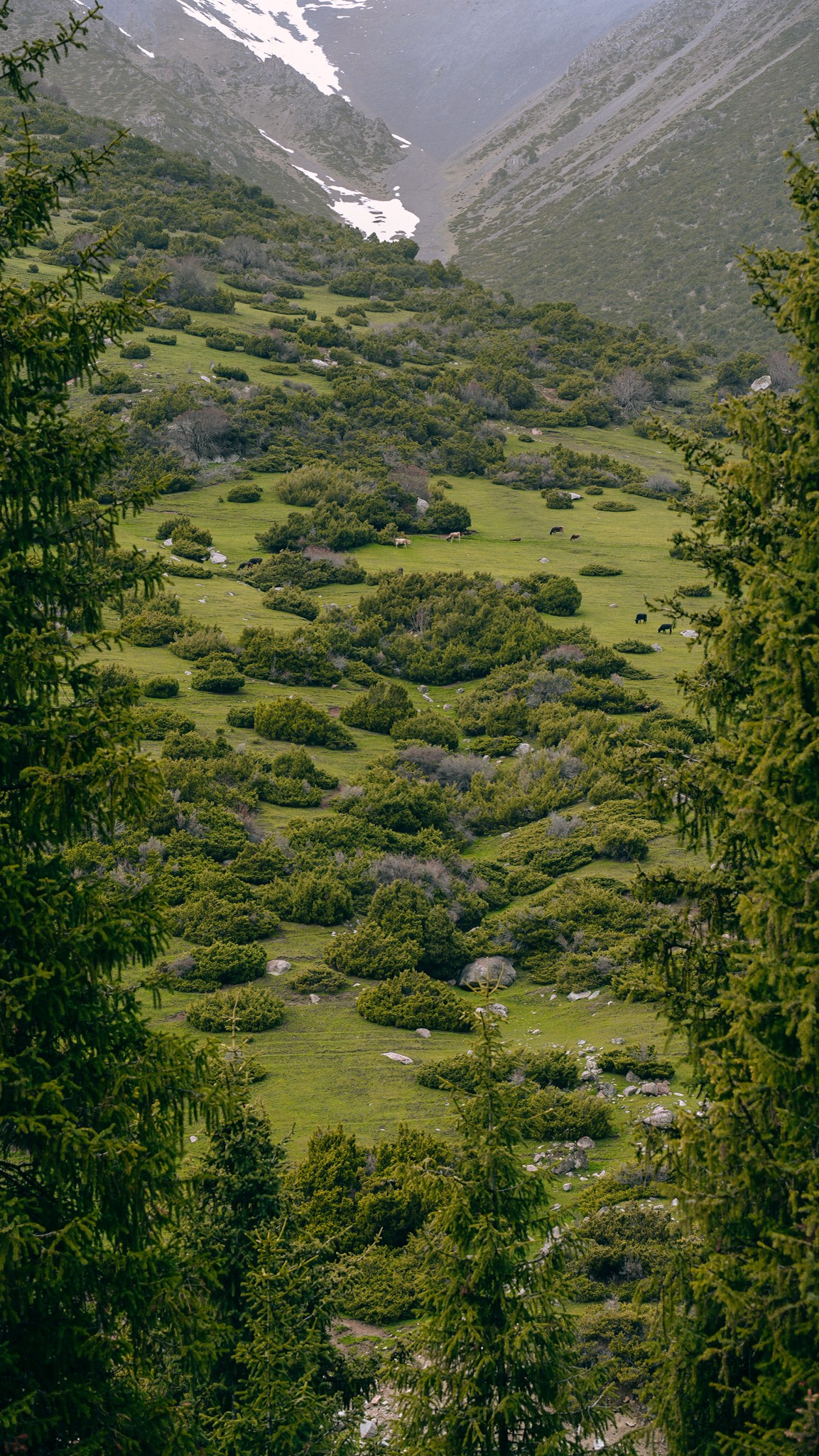 Кыргызстан. Человек с фотокамерой