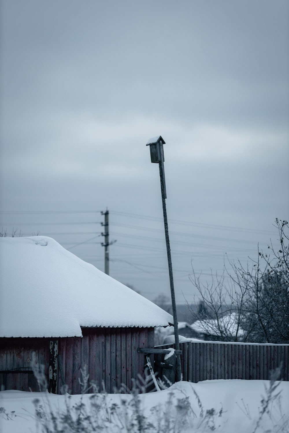Природные пейзажи. Наталия Клевинскас портретный фотограф в Костроме