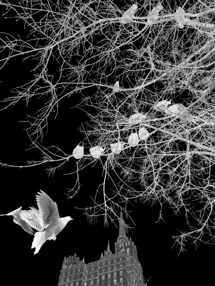 Эксперименты. Колесникова Мария Арт-фотограф