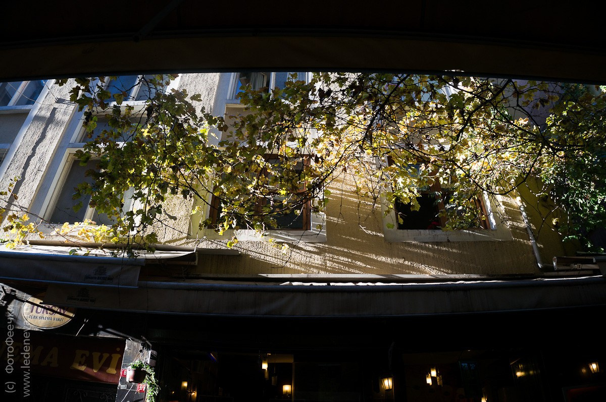 Стамбул, Турция. Анна Леденева Фотограф