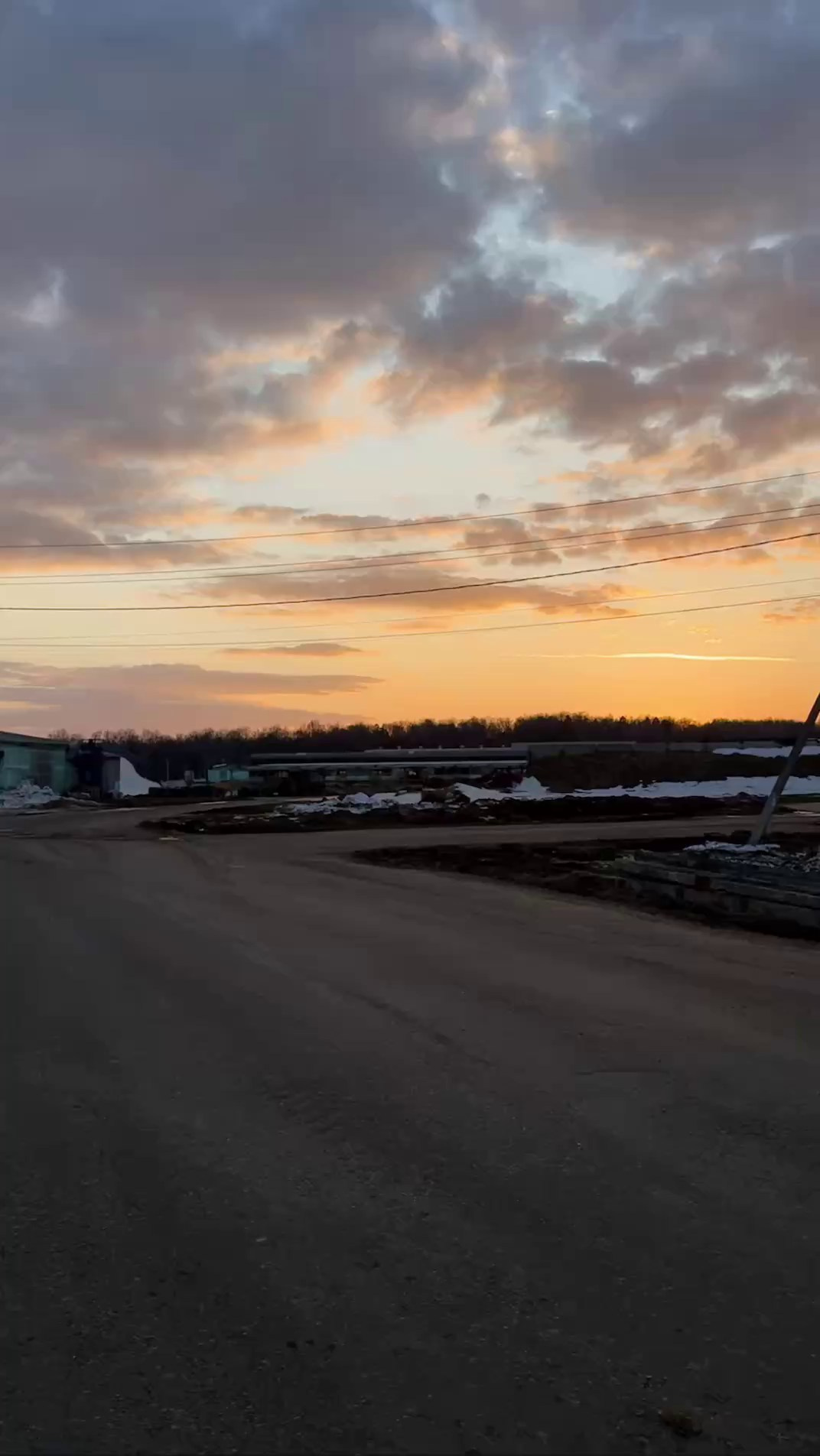 At the same cutting table with the Zhazhda team. The Other Pavel Potseluev — film photography and mastery of meat business