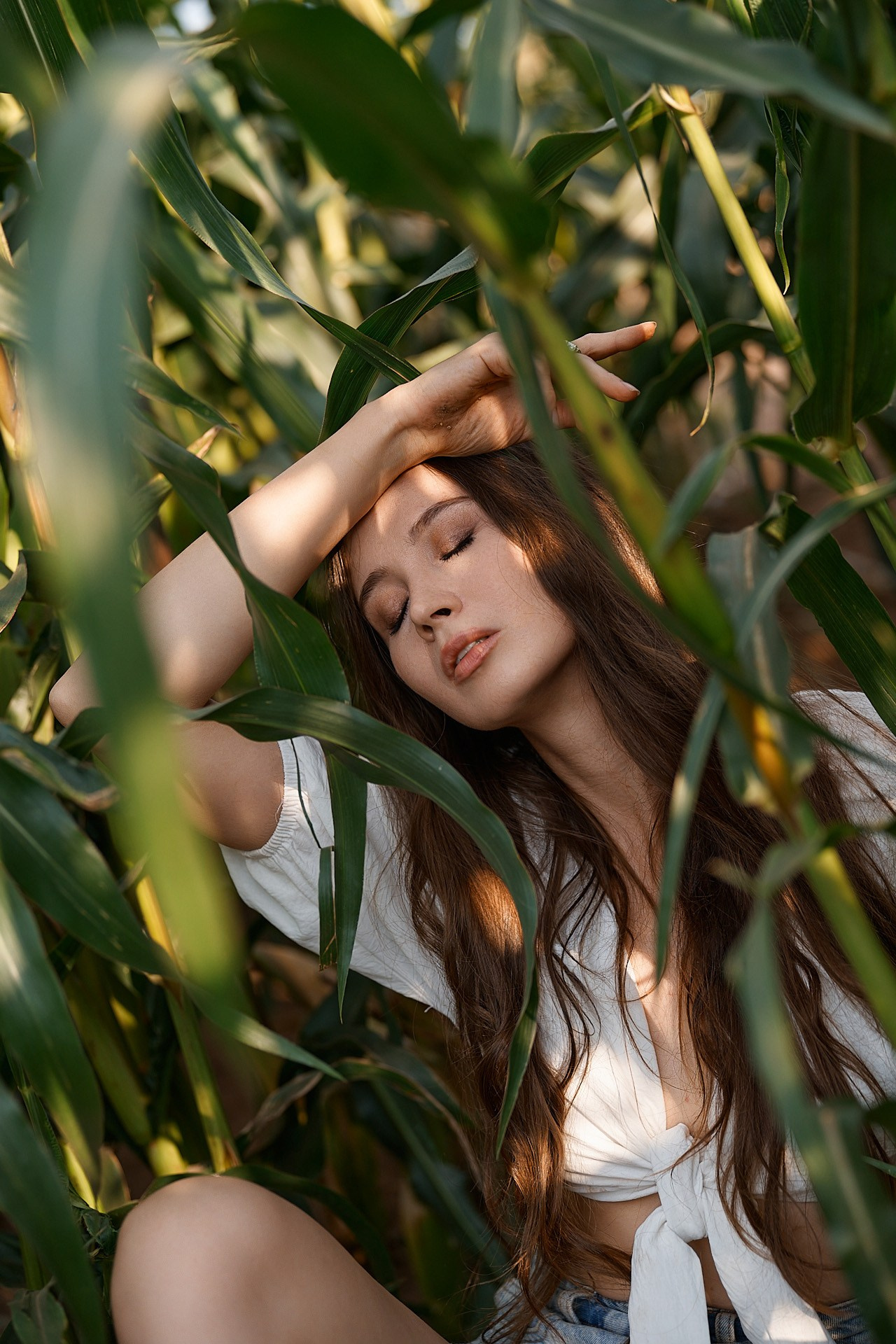 София в кукурузе. Репортажный фотограф в Кирове Сергей Дудин