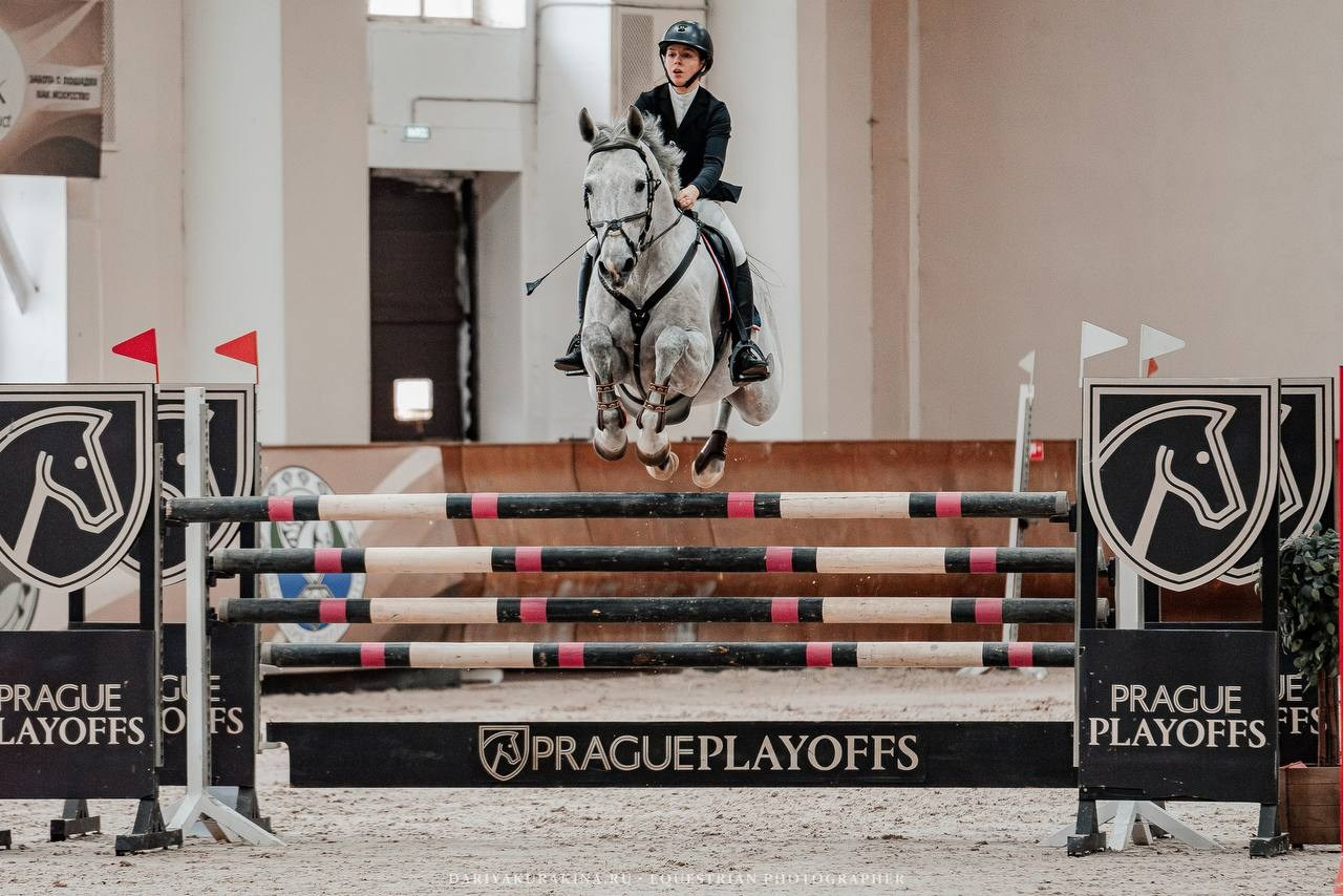 ВСЕРОССИЙСКИЕ СОРЕВНОВАНИЯ ПО КОНКУРУ НА ПРИЗЫ КСК ВИВАТ, РОССИЯ!. Куракина Дарья • Конный фотограф