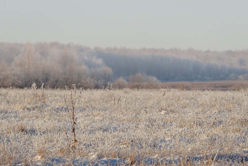 Пейзаж. Фотограф-любитель Алексей Сергеевич Петропавловский, г. Йошкар-Ола