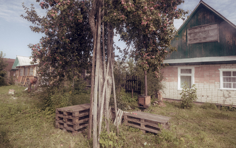 Домик и яблоня на участке в снт.