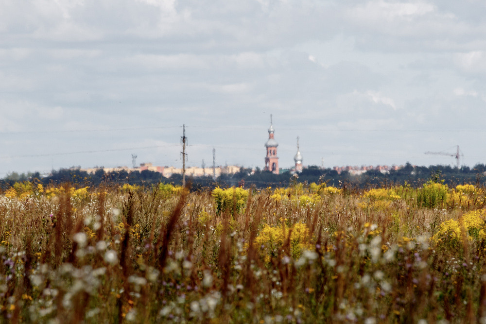 Пейзаж в поле и церковь.